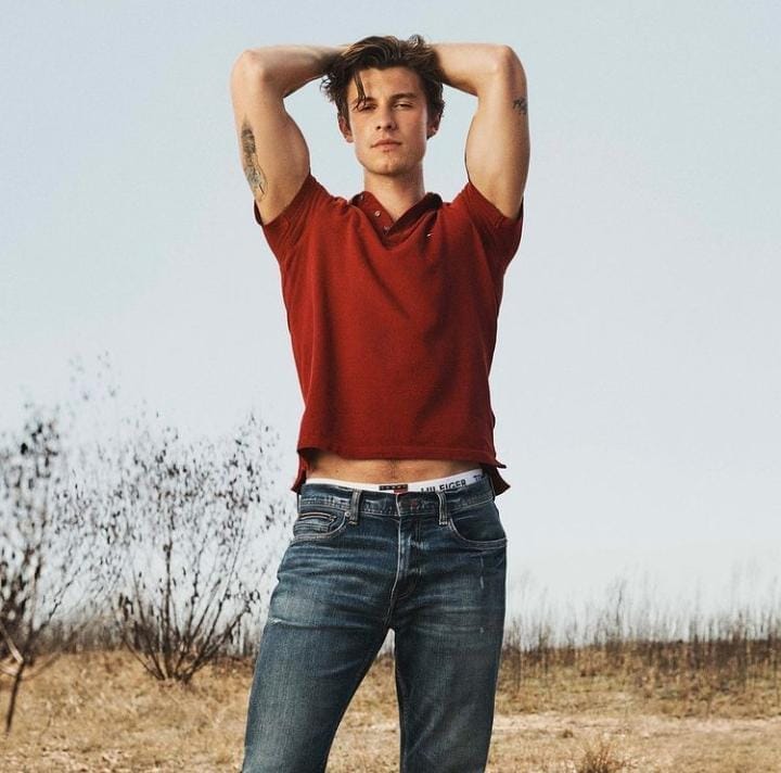 Shawn Mendes anunciou o cancelamento dos shows