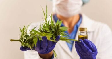 Estudo do Cannabis Medicinal no tratamento da epilepsia infantil