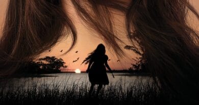 romance best-seller de Delia Owens "Um Lugar Bem Longe Daqui" finalmente ganhou uma adaptação