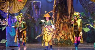 Floresta dos mistérios