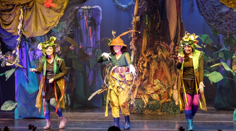 Floresta dos mistérios