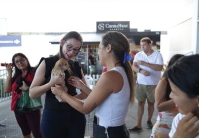 Centro Fashion Fortaleza promove ação “Veterinário Solidário” com vacinação e orientações gratuitas em parceria com a Prefeitura de Fortaleza (SMPA)