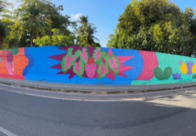 Hidrotintas e artista Suellen Rodrigues se unem em parceria para revitalizar Museu do Caju 