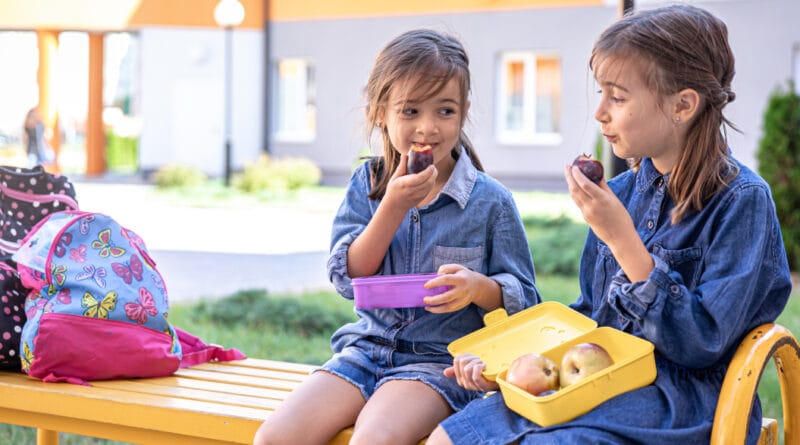 Nutricionista dá dicas de como preparar lanches saudáveis e criativos para retorno às aulas