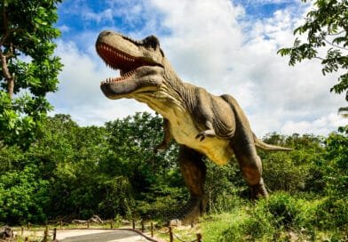 Alchymist abre na segunda-feira (13) com entrada gratuita para os 300 primeiros visitantes em celebração aos 300 anos de Fortaleza