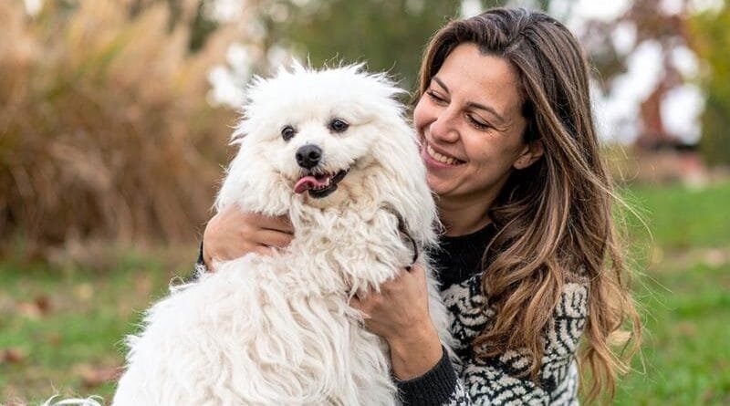 Assim como em humanos, envelhecimento de pets requer acompanhamento e cuidado preventivo