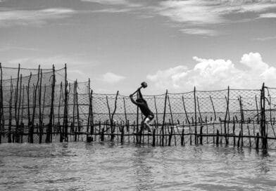 Vaqueiros do Mar: exposição registra tradição centenária dos currais de pesca de Bitupitá