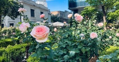 Jardim do Museu Casa das Rosas