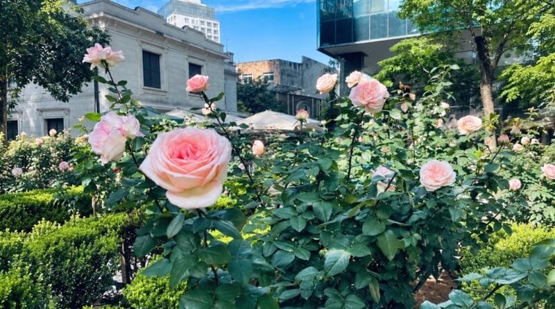Jardim do Museu Casa das Rosas