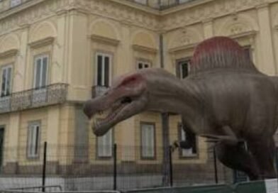 “Diálogos da Reconstrução” reúne lideranças, pesquisadores e artesãs quilombolas no Museu Nacional