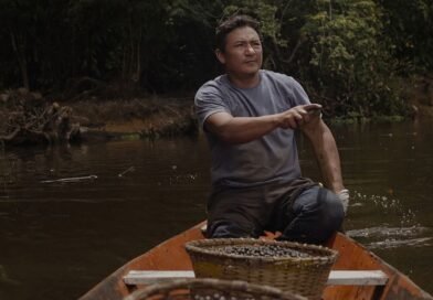 Bioconhecimento e inovação na Amazônia estão conectados? Webinar gratuito abre o diálogo