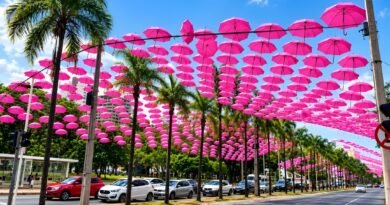 Mais de 1,5 mil guarda - chuvas rosas transformam trecho da Praça Tamandaré em Goiânia.