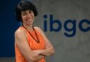 IA avança na Governança Corporativa, mas decisões estratégicas continuam dependendo de pessoas, alerta diretora-geral do IBGC